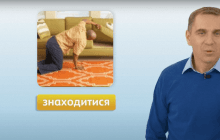 "Знаходитися, перебувати или розташовуватися": мовознавець розповів, у яких випадках вживати слова