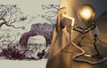 Лише ті, у кого є "суперсила", помітять 10 тварин за 20 секунд: надскладна оптична ілюзія