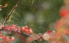 Синоптик порадовала украинцев прогнозом на завтра, но есть неприятный нюанс