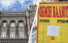 "Це стратегічна мета": в НБУ розповіли, коли відпустять курс у вільне плавання