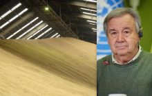 Відновлення зернової угоди: в Україні відповіли на таємні пропозиції ООН Москві (відео)