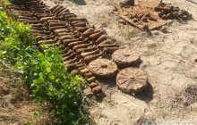 В Житомире женщина копала картошку, а нашла почти сотню мин (фото)