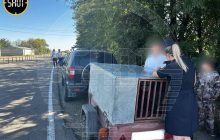 Россиянка посадила детей в клетку для собак: причина "убила" (фото, видео)