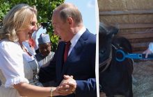 "Подруга Путина" перевезла в Россию пони на военном самолете: в Z-канале истерика (фото)