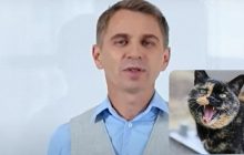 "Броситься в глаза" может только злой котенок: Авраменко объяснил, как сказать правильно