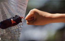 Не поділили таксі: в Ужгороді побили чоловіка і залишили на дорозі без свідомості (відео)