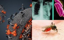 Зміни клімату перешкоджають боротьбі з трьома найбільш смертоносними хворобами у світі