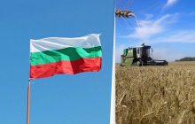 Дива не сталося: Болгарія запроваджує обмеження на імпорт українського зерна