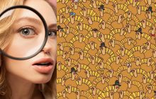 Головоломка для людей з надпотужним зором: знайдіть гарбуз серед індичок за 7 секунд