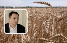 Зерно - лише початок: на шляху до ЄС суперечок із сусідами побільшає, - міністр АПК