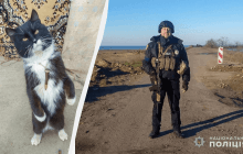 "Подносит патроны": на Херсонщине вместе с полицейскими служит кот Патрон