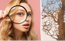 Ця оптична ілюзія підірвала мережу: чи зможете ви знайти усіх кроликів за 10 секунд