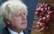 Борис Джонсон почастував няню келихом рожевого вина: жінка вилетіла з роботи на третій день