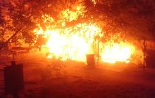 Пожежа на Котобазі: власниця притулку заявила, що її побила волонтер (фото)