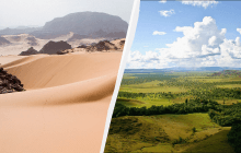 Ліси, савани та бегемоти: вчені змоделювали клімат Сахари тисячі років тому