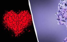 Лише людина з гострим розумом знайде дружину байкера за 7 секунд: головоломка на кмітливість