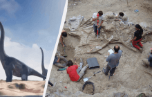 В Іспанії знайшли рештки одного з найбільших динозаврів віком 122 мільйони