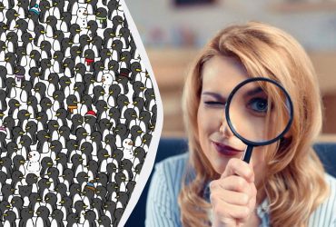 Тільки найуважніші зможуть знайти 3 чорних кішок серед пінгвінів за 20 секунд