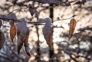 Сегодня дождей и снега в Украине станет еще больше: прогноз на 20 ноября (карта)
