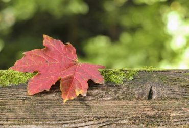 Дощі припиняються: сьогодні на українців чекає зміна погоди (карта)