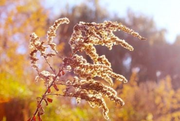 Розігріє до +28°: синоптик розказав, де ще в Україні затримається літо