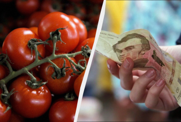 В Україні стрімко дорожчають томати: експерти назвали причину