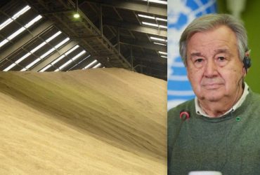 Відновлення зернової угоди: в Україні відповіли на таємні пропозиції ООН Москві (відео)