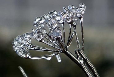 В Киеве срочно объявили І уровень опасности: что произошло (инфографика)