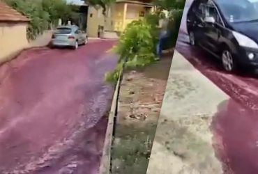 Текло річкою: вулиці португальського міста затопило вином (відео)