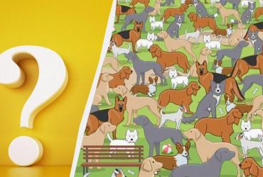 Перевірте рівень IQ за 11 секунд: складна оптична ілюзія для геніїв