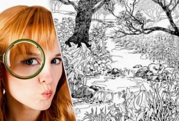 Впораються тільки генії: знайдіть кролика за 9 секунд на цій оптичній ілюзії