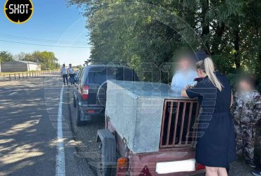 Россиянка посадила детей в клетку для собак: причина убила (фото, видео)