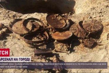 Пішла копати картоплю, а викопала міни