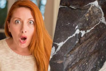 На фоне заявлений США об НЛО женщина нашла в своем дворе метеорит (фото)