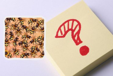 Ця оптична ілюзія змусить попітніти: тільки 5% людей можуть розв'язати її