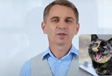 Броситься в глаза может только злой котенок: Авраменко объяснил, как сказать правильно