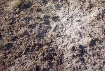 Оккупанты атаковали Сумщину запрещенным методом войны: есть жертвы (фото)