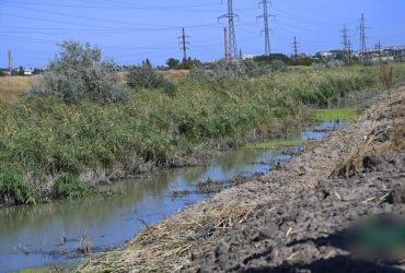 Загарбники скоюють екоцид біля Мелітополя, руйнуючи береги річки Молочна, - Федоров