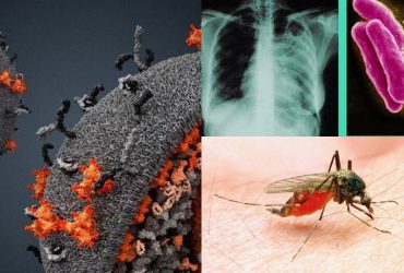 Зміни клімату перешкоджають боротьбі з трьома найбільш смертоносними хворобами у світі