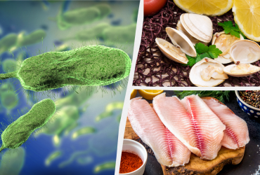 Жінці довелося ампутувати всі кінцівки після того, як вона з'їла рибу: що трапилось