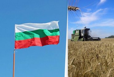 Чуда не произошло: Болгария вводит ограничения на импорт украинского зерна