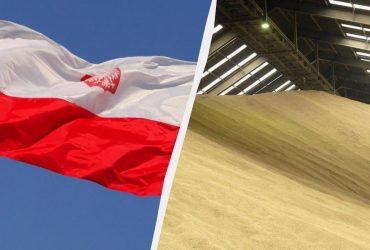 Экспорт зерна: в Польше заявили о готовности к диалогу с Украиной