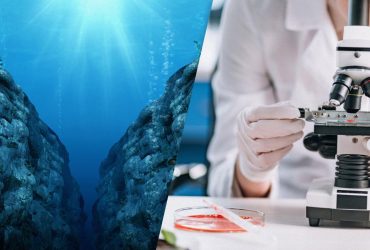 В Марианской впадине нашли удивительный вирус