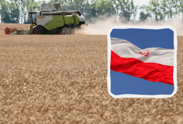 Польский министр: готовы говорить об украинском зерне, если оно не попадет в Польшу
