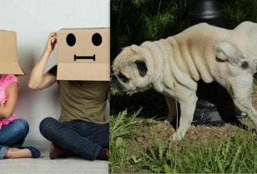 Девушка поссорилась со своим парнем, когда призналась, куда она девает собачьи фекалии