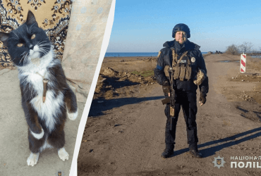 Підносить патрони: на Херсонщині разом із поліцейськими служить кіт Патрон