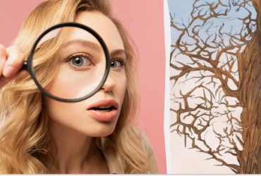 Ця оптична ілюзія підірвала мережу: чи зможете ви знайти усіх кроликів за 10 секунд