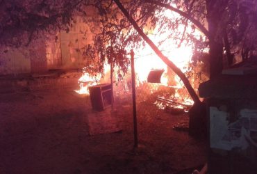 Пожежа на Котобазі в Києві: поліція уточнила, скільки тварин згоріло у вогні (фото)