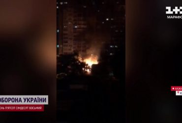 У Києві згорів котячий притулок із тваринами всередині