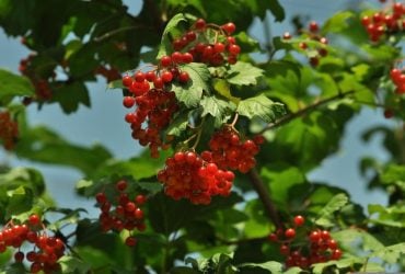 Свята та вихідні у жовтні 2023: що відзначаємо та коли відпочиваємо у цьому місяці